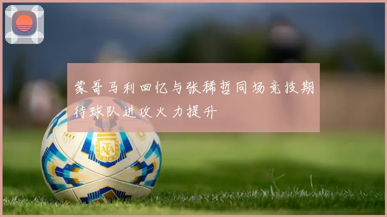 蒙哥马利回忆与张稀哲同场竞技期待球队进攻火力提升